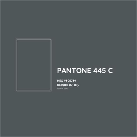 PANTONE 445 C Complementary or Opposite Color Name and Code (#505759) - colorxs.com