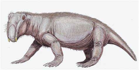 The Permian-Triassic Boundary Is the Worst Mass Extinction You've Never Heard Of | Inverse