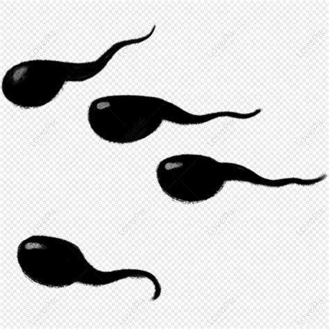 Little Tadpole PNG Images With Transparent Background | Free Download ...