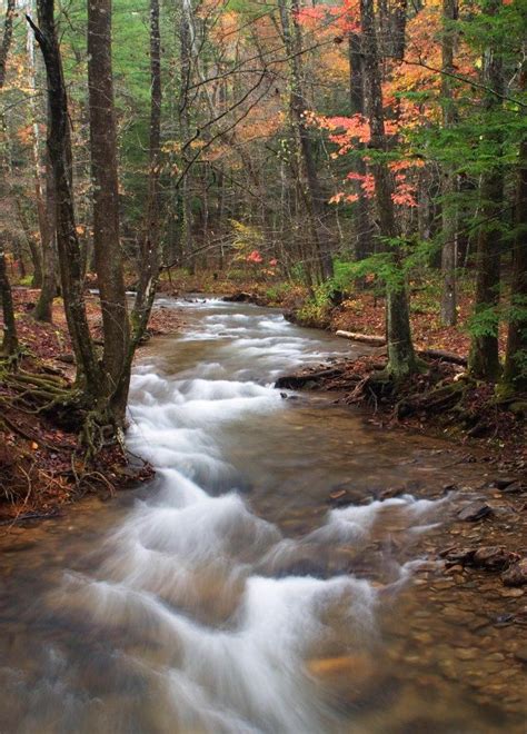 Dahlonega, Georgia Beautiful Places To Visit, Wonderful Places ...