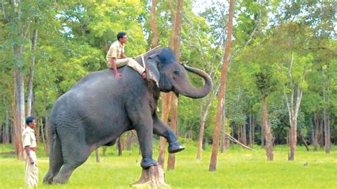 ‘Super Mom’ Chaitra - Star of Mysore