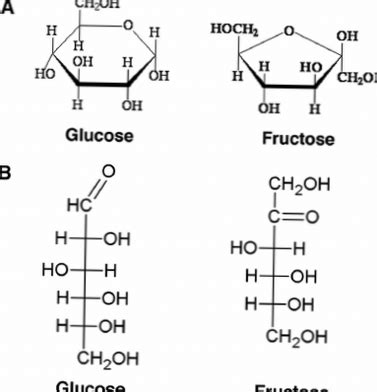 fructose versus glucose | Differbetween