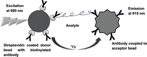 AlphaScreen/AlphaLISA assay principle for insulin determination. 34 | Download Scientific Diagram