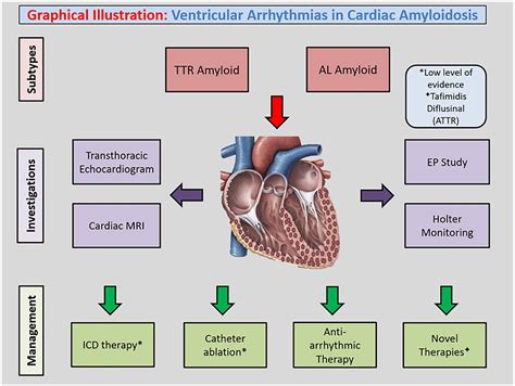 Management Of Arrhythmias In Cardiac Amyloidosis, 51% OFF