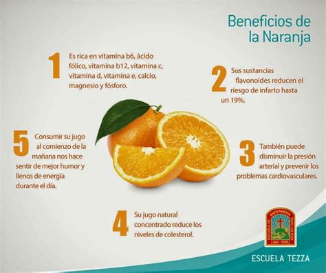 Pin by Mario Gamarra Saavedra on Guia de salud y cosas importantes de la vida. | Fruit, Food, Orange