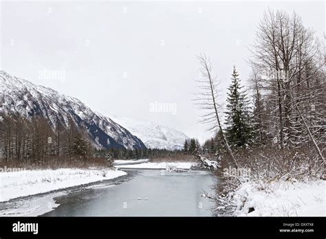 Snowy winter scene in the Alaskan wilderness, Chugach Mountains, Alaska ...