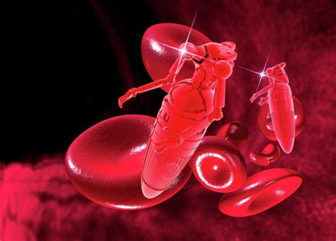 Medical Nanobots, Artwork Digital Art by Victor Habbick Visions - Fine ...