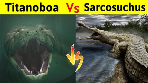 Sarcosuchus Vs Titanoboa