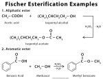 Fischer Esterification: Definition, Examples, and Mechanism