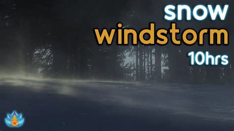 Winter Windstorm | Snowstorm and Wind Sounds for Sleeping - YouTube