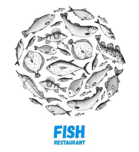 2,900+ School Of Fish Stock Illustrations, Royalty-Free Vector Graphics & Clip Art - iStock