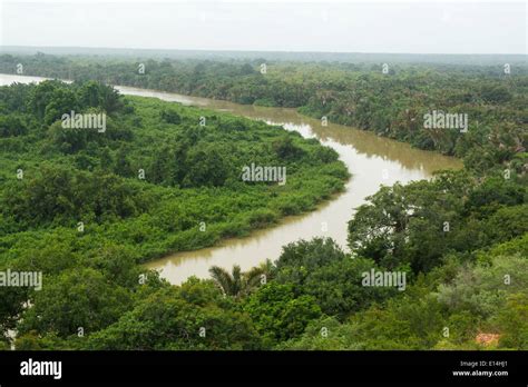 View over the Gambia River in River Gambia National Park, the Gambia Stock Photo - Alamy