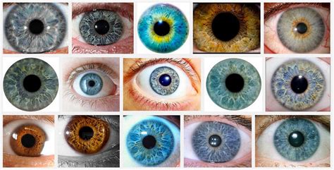 Structural Eye Color is Amazing – Paul Van Slembrouck – Medium