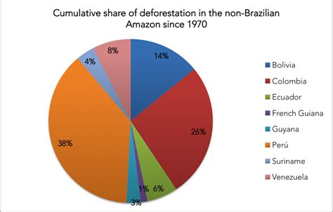 Deforestation declines in the Amazon rainforest