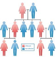 About Mutation: Heredity