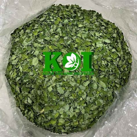 Jual Curah Daun Kelor Kering di Seller Kelor Organik Indonesia - Kota ...