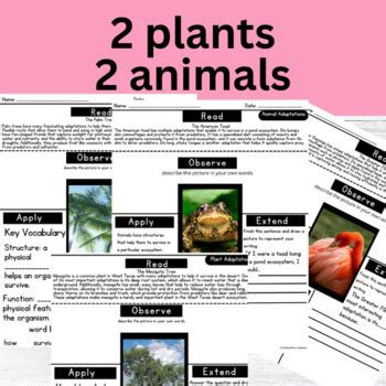 Animal Adaptations 5th Grade | Plant Adaptations 5th Grade ...