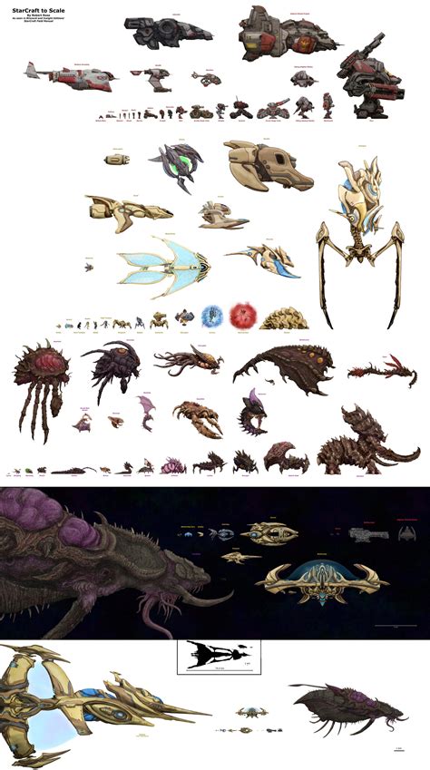 Actual scale of Starcraft units : r/starcraft