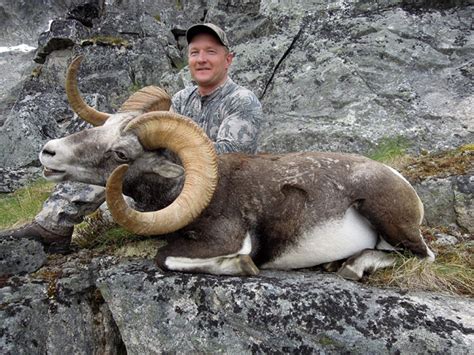 yukon-stone-sheep-hunt - HuntingAgent.com