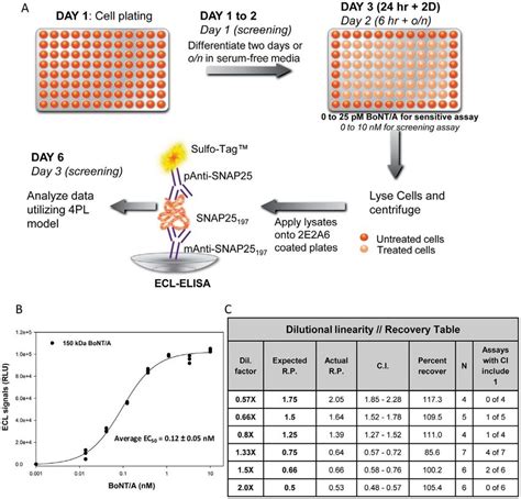 Development of a sensitive screening CBPA. A. Protocols for the... | Download Scientific Diagram