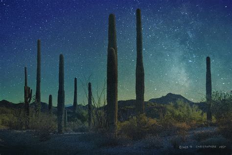 Night Time In Saguaro National Park Photograph by R christopher Vest ...
