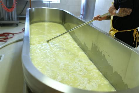 Cheese Making Process - Gold Creek Farms