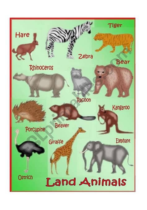 Farm Animals Flashcards Printable