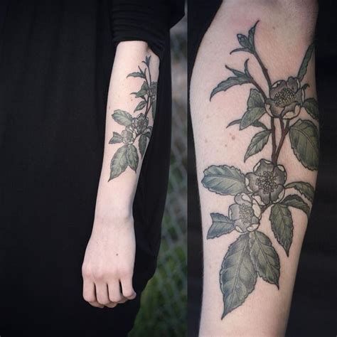 camellia sinensis tattoo - Google Search | Tea tattoo, Tattoos, Wonderland tattoo