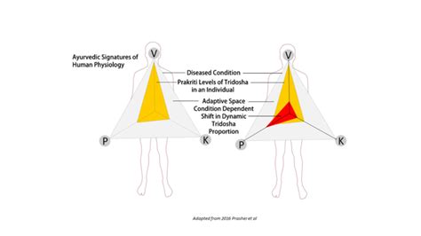 Ashtanga Hridayam- Do Prakriti and Doshas Really Exist?