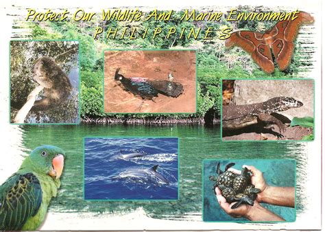 MY POSTCARD-PAGE: PHILIPPINES ~Protect our Wildlife and Marine Environment