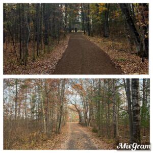 Gallery - A+ Driveway Grading and Land Clearing