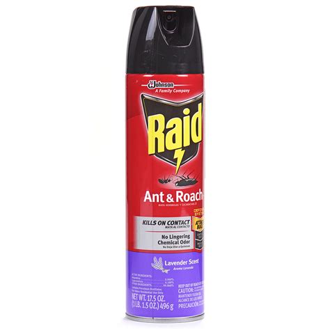 Will Ant and Roach Spray Kill Wasps? Find Out Here! – InsectEasy.com