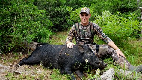 Texas Hog Hunting - The Best And Most Complete Hunting Tips