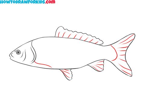 How to Draw a Realistic Fish - Easy Drawing Tutorial For Kids