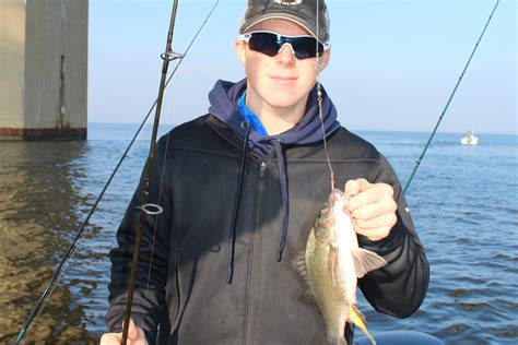 December Upper Chesapeake Bay Fishing Report, 2018 | FishTalk Magazine