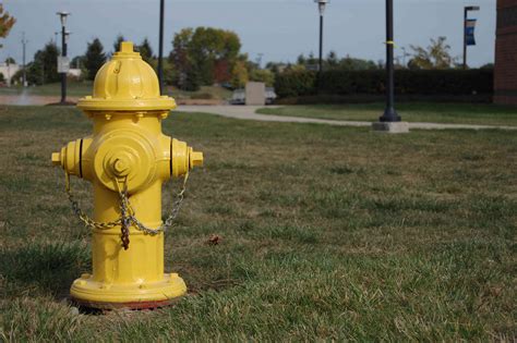 Fire Hydrants - Sugar Bush Farms POA