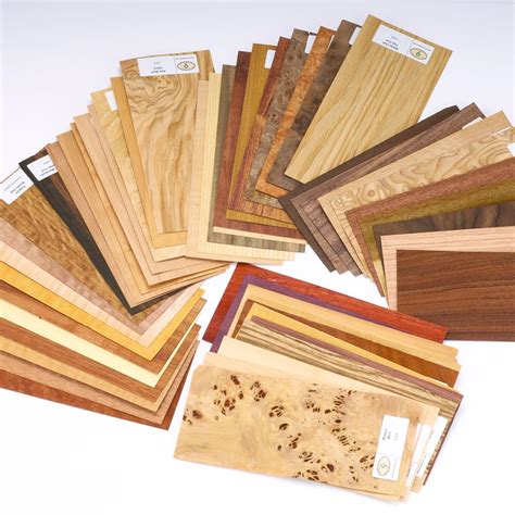 Buy Wood Identification Kit, 50-Piece Online at Low Prices in India - Amazon.in