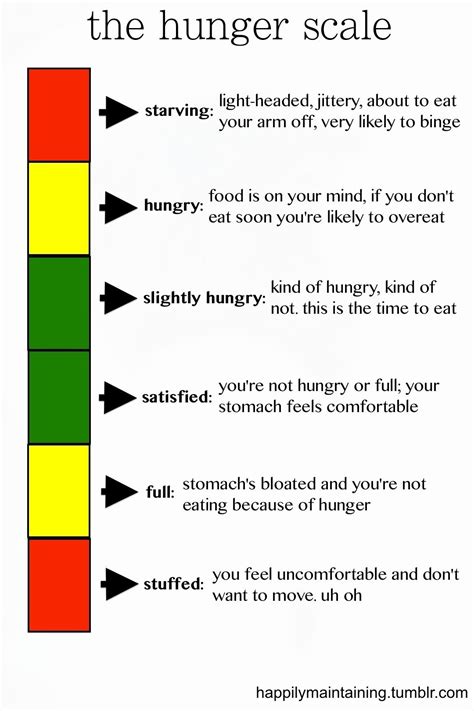 The Hunger Scale | Health and nutrition, Health and wellness, Healthy tips