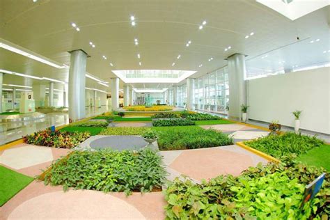 Vadodara Airport Ranked India's Second Green International Airport ...