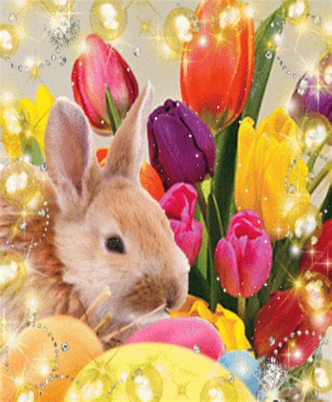 HAPPY EASTER ♡♥♡ | Happy easter, Easter, Rabbit