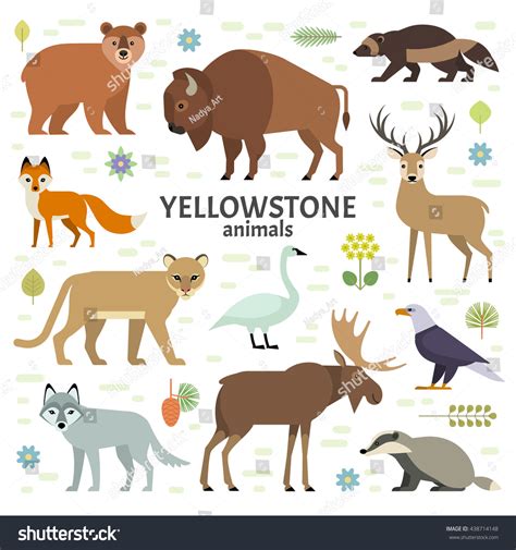 Vector Illustration Yellowstone National Park Animals Stock Vector 438714148 - Shutterstock