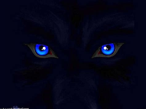 Blue Eyed Wolf Wallpapers Android #Blue #Eyed #Wolf #Wallpapers #Android | Wolf wallpaper, Wolf ...