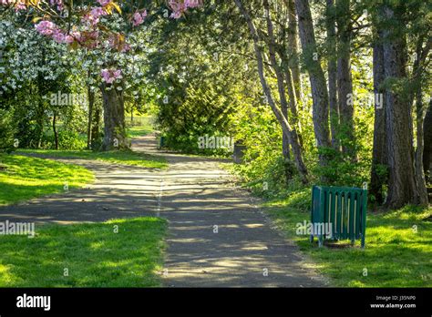 West End Park, Airdrie, North Lanarkshire, 03 May 2017, UK Weather. Beautiful blooming trees in ...