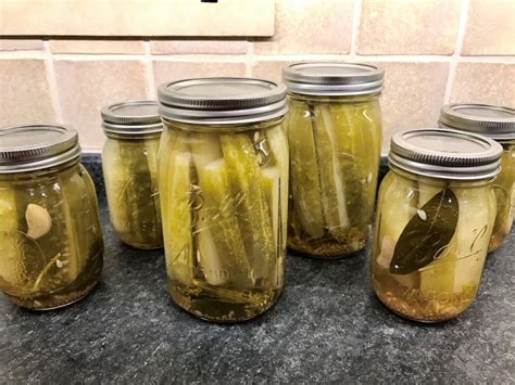 Canning Recipe- Dill Pickles – Elizabeth Grace Gardens