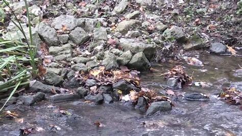 Streambank Stabilization Techniques - YouTube