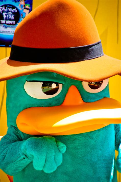 Agent P aka Perry the Platypus | abelle2 | Flickr