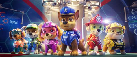 Focus: ‘Paw Patrol’ unleashed: Behind ViacomCBS’s plan to take on Disney | Reuters