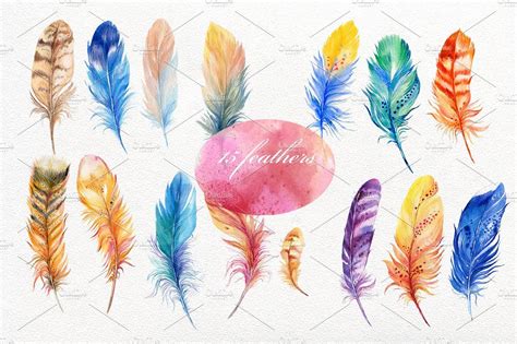 15 bird's feathers ,watercolor | Watercolor feather, Watercolor, Bird feathers