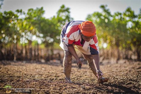 Eden Reforestation Project • ClimbingHI