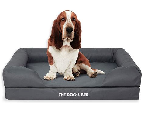 12 Best Orthopedic Dog Beds for Arthritis - Hey, Djangles.